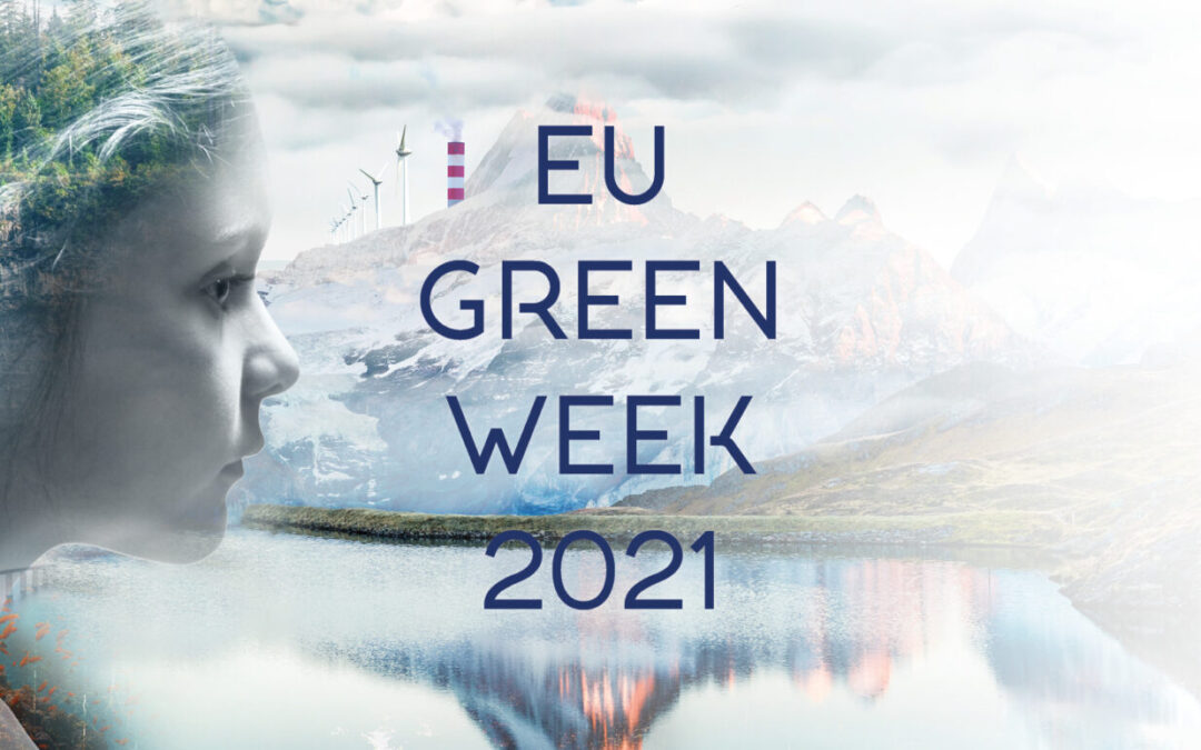 „Зелена недеља“/ Green week / Zero pollution