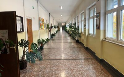 Јесењи распуст за ученике основних и средњих школа од 8. новембра